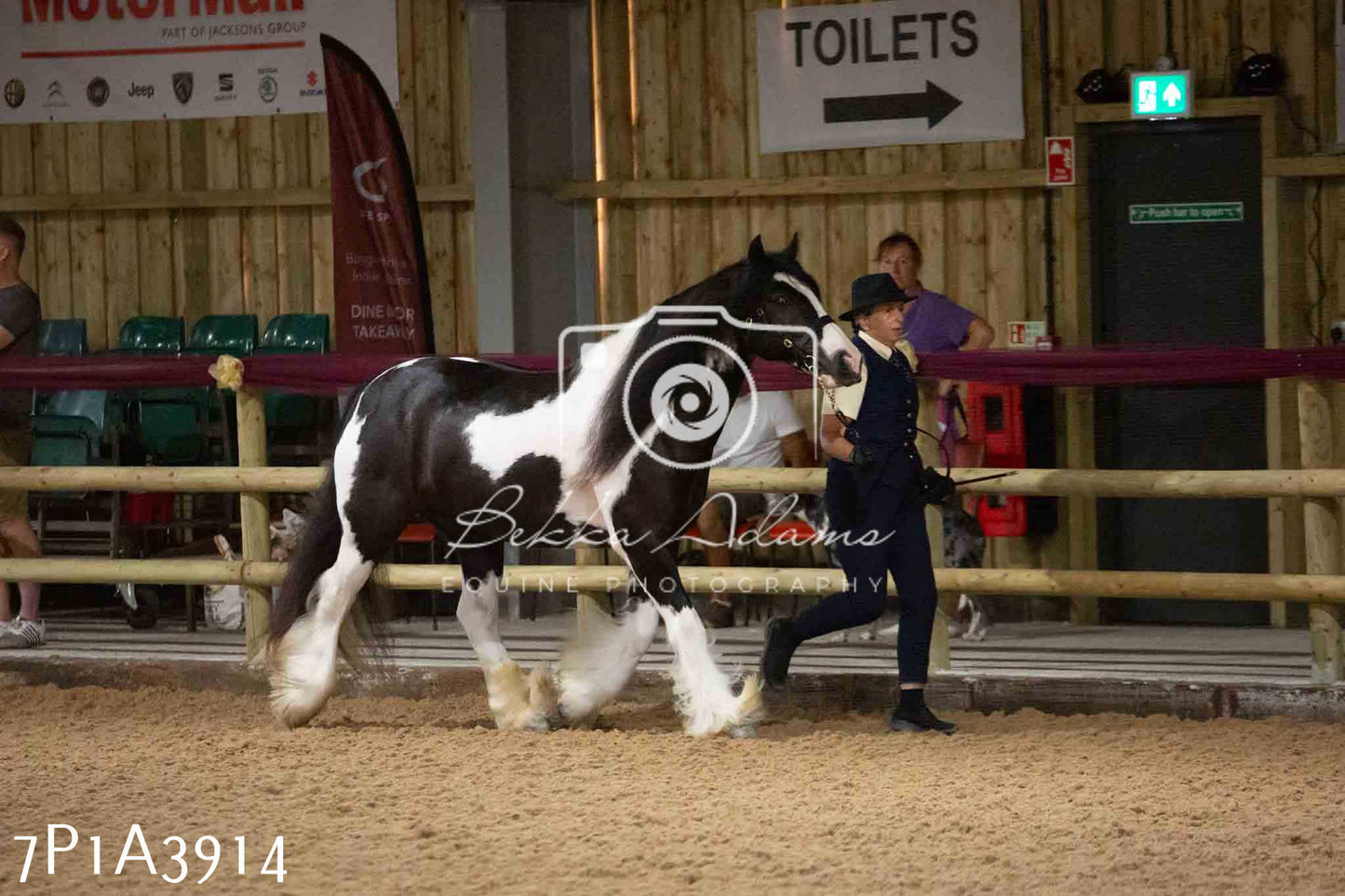 JHOYS 2023 - 9th September - Inhand Showing Pt 1
