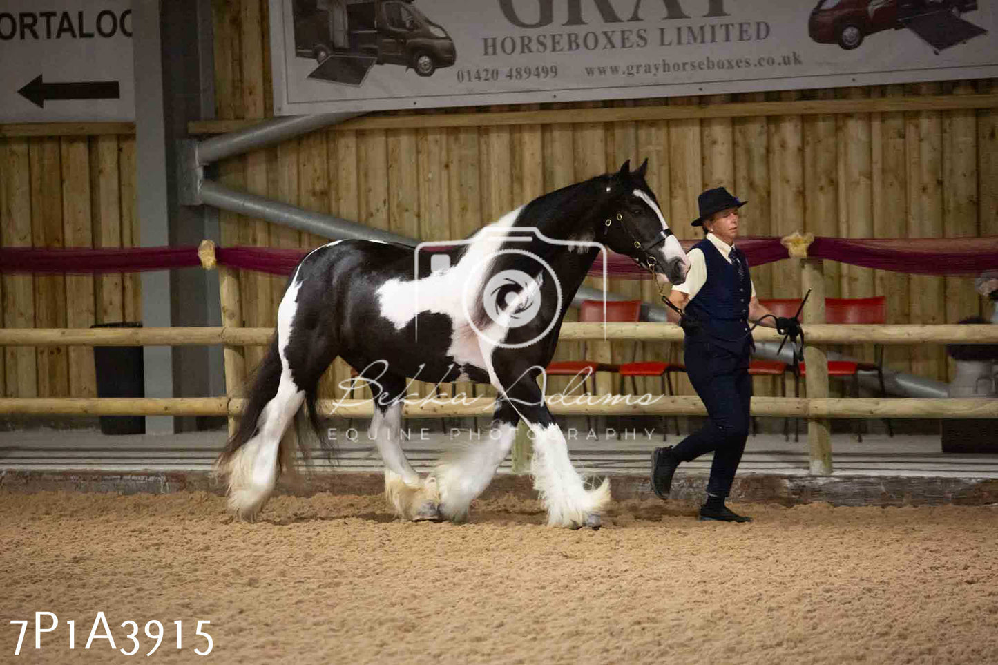 JHOYS 2023 - 9th September - Inhand Showing Pt 1