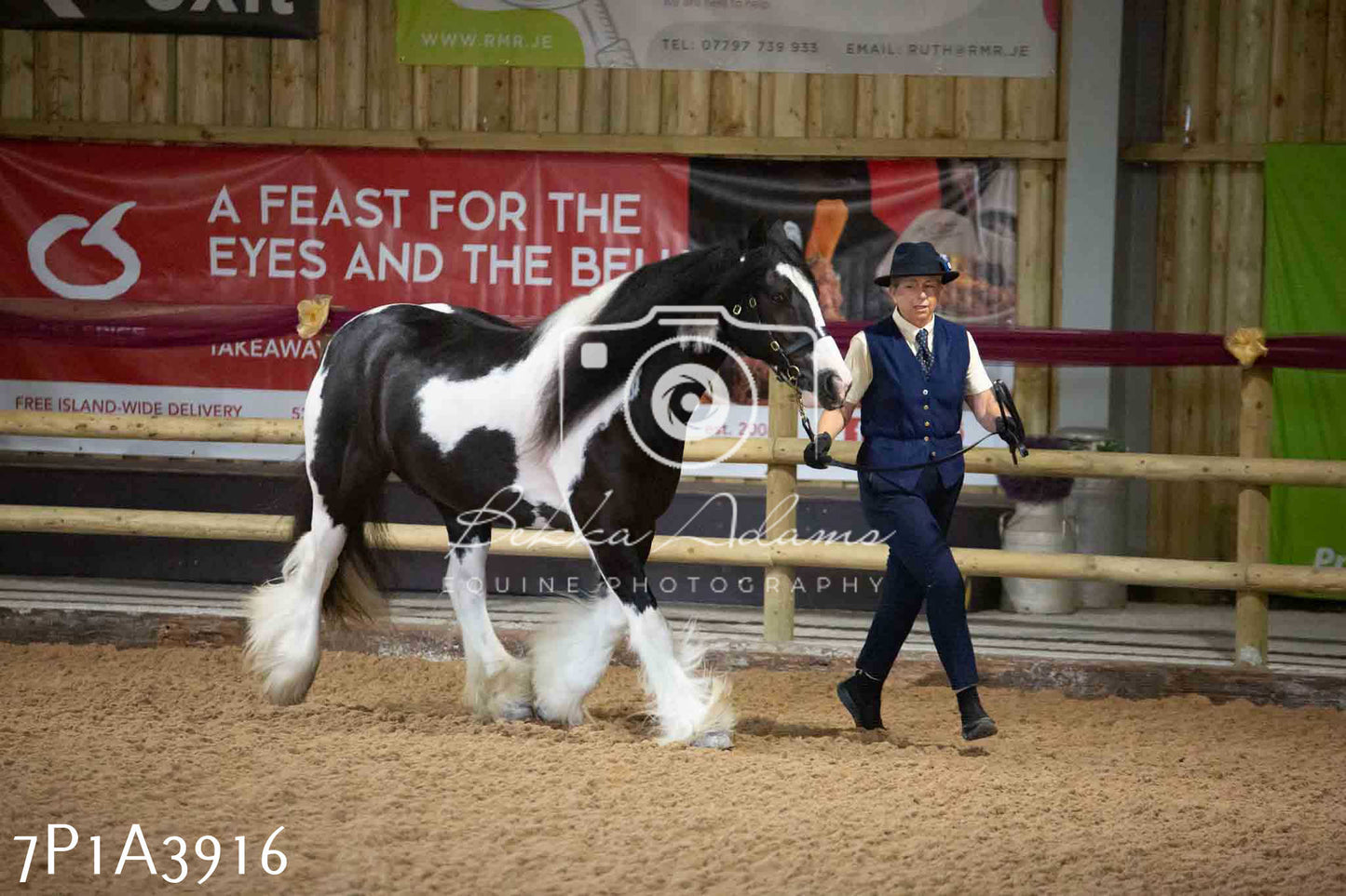 JHOYS 2023 - 9th September - Inhand Showing Pt 1