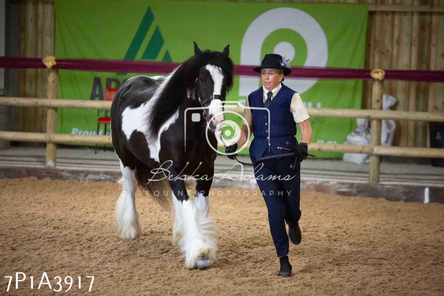 JHOYS 2023 - 9th September - Inhand Showing Pt 1