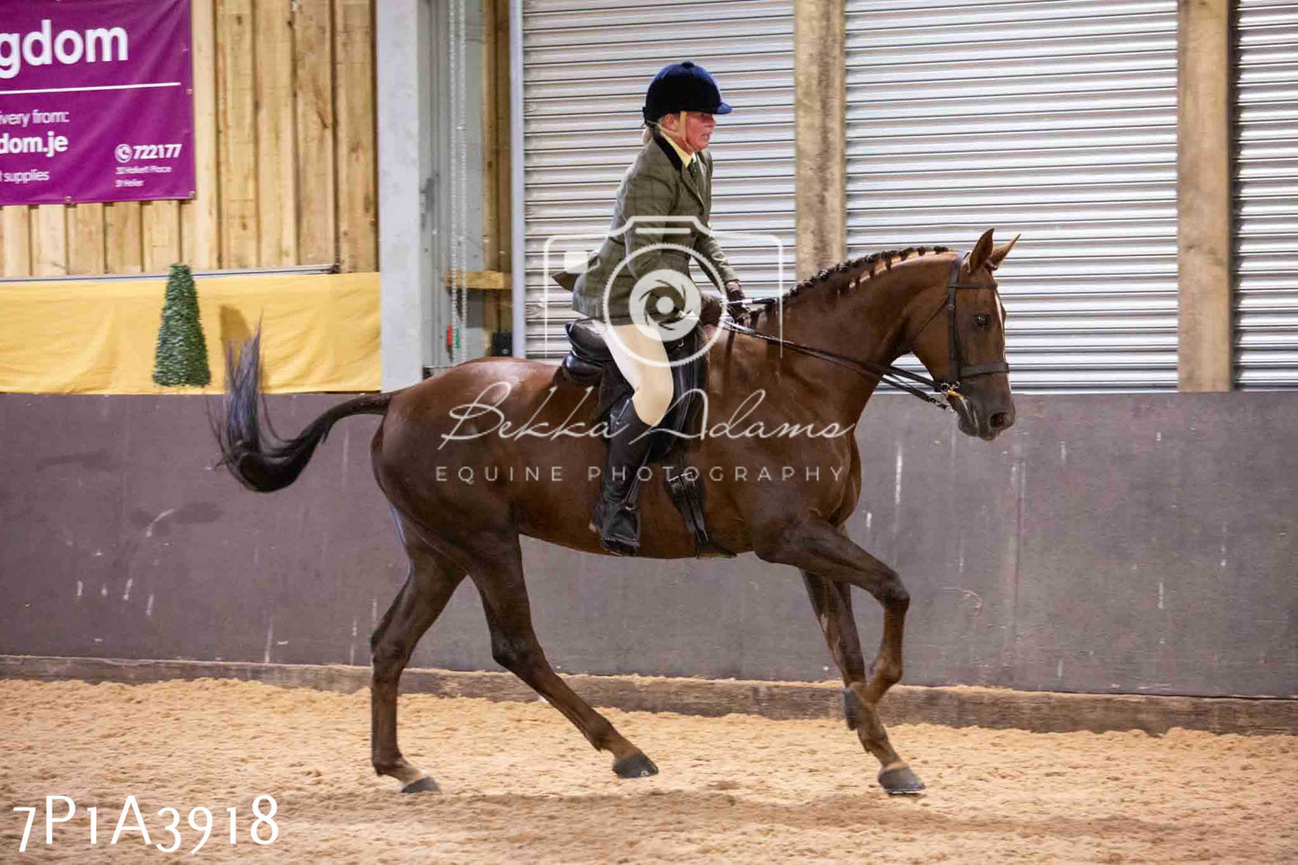 Home Farm Funshine Show 2024 - Ridden Showing 15th September pt2