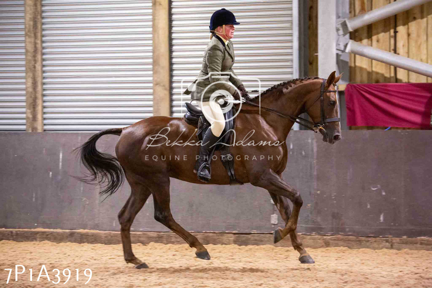 Home Farm Funshine Show 2024 - Ridden Showing 15th September pt2