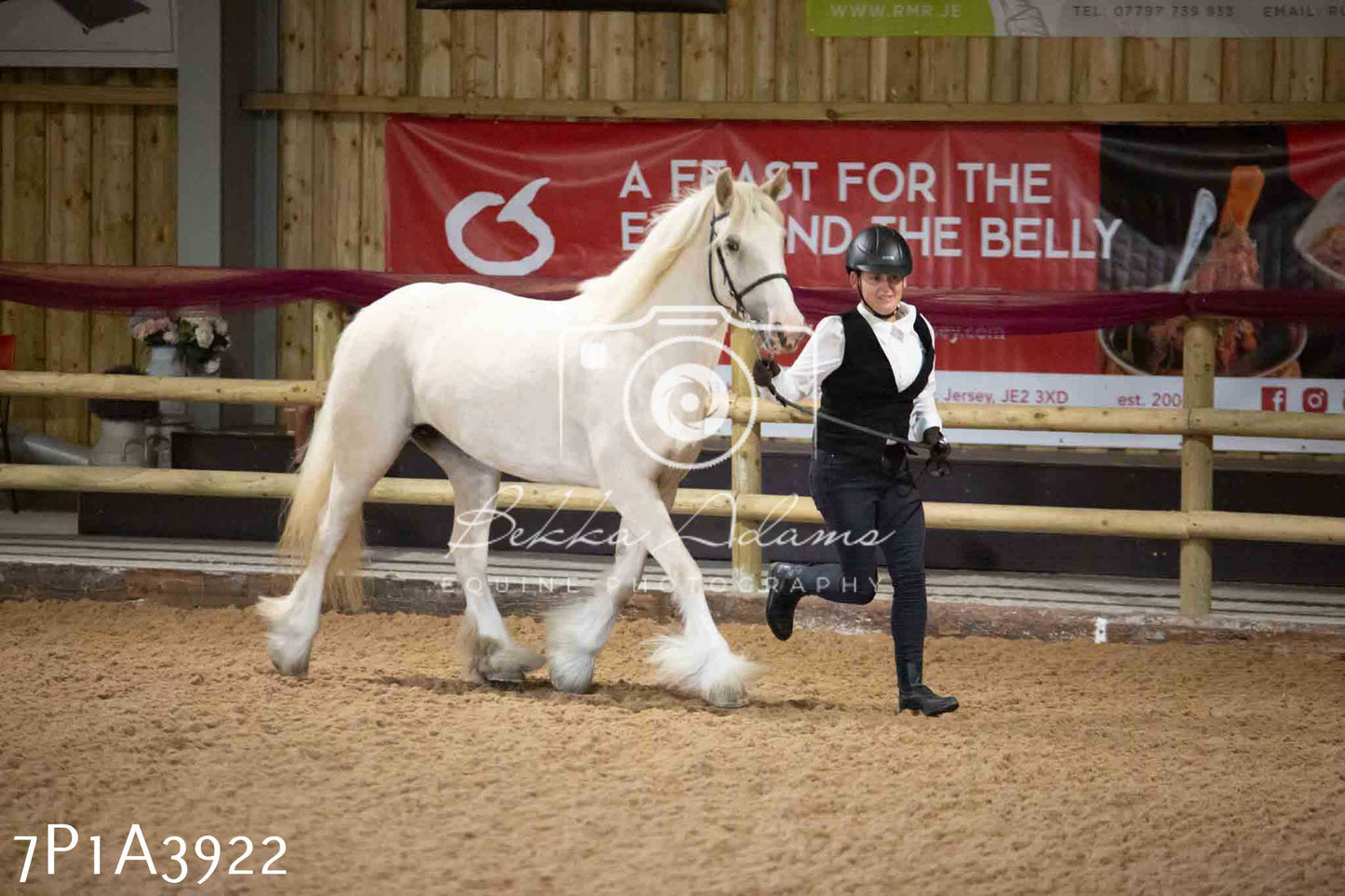JHOYS 2023 - 9th September - Inhand Showing Pt 1