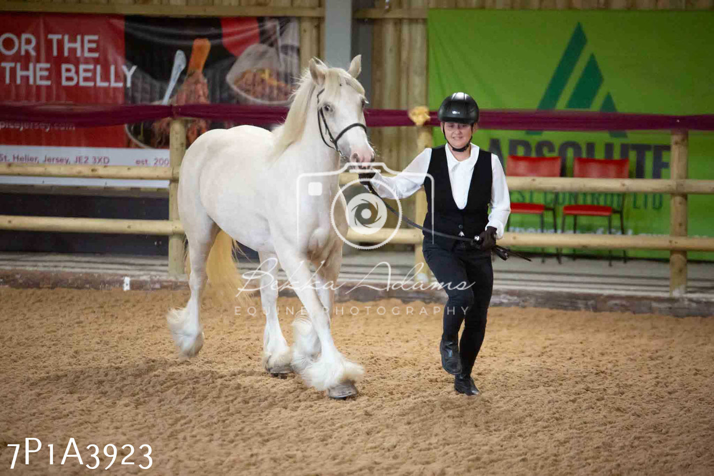 JHOYS 2023 - 9th September - Inhand Showing Pt 1