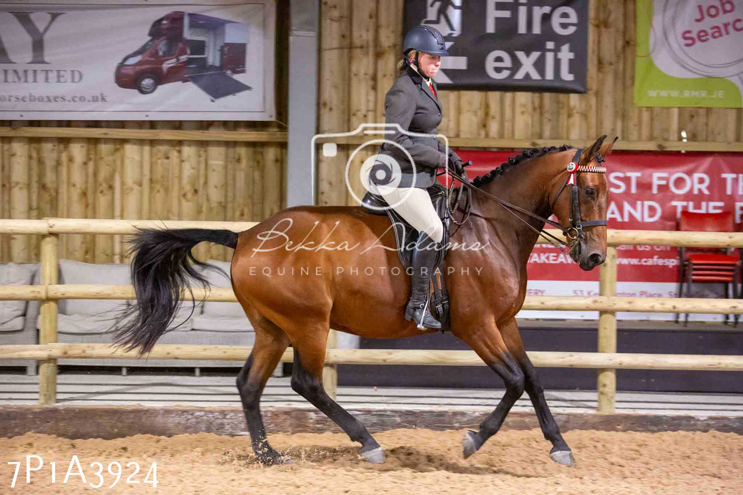 Home Farm Funshine Show 2024 - Ridden Showing 15th September pt2