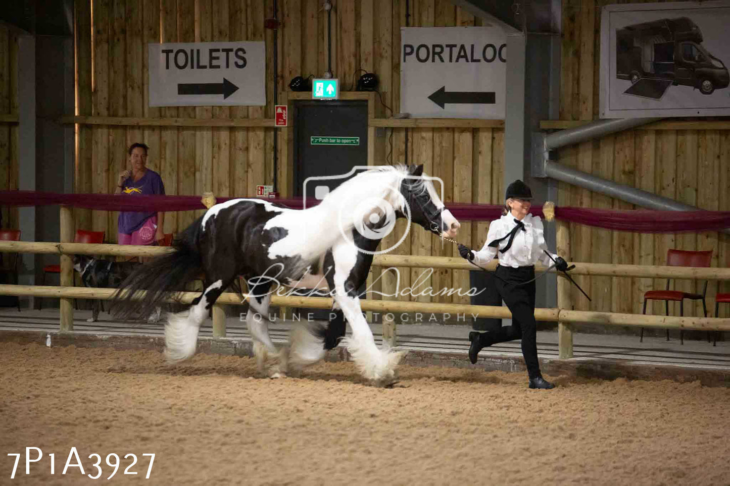 JHOYS 2023 - 9th September - Inhand Showing Pt 1