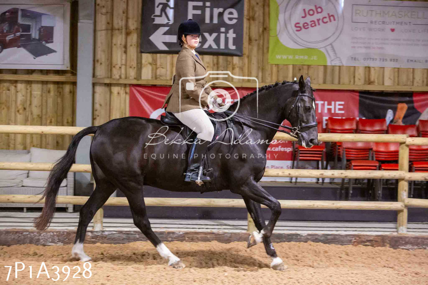 Home Farm Funshine Show 2024 - Ridden Showing 15th September pt2