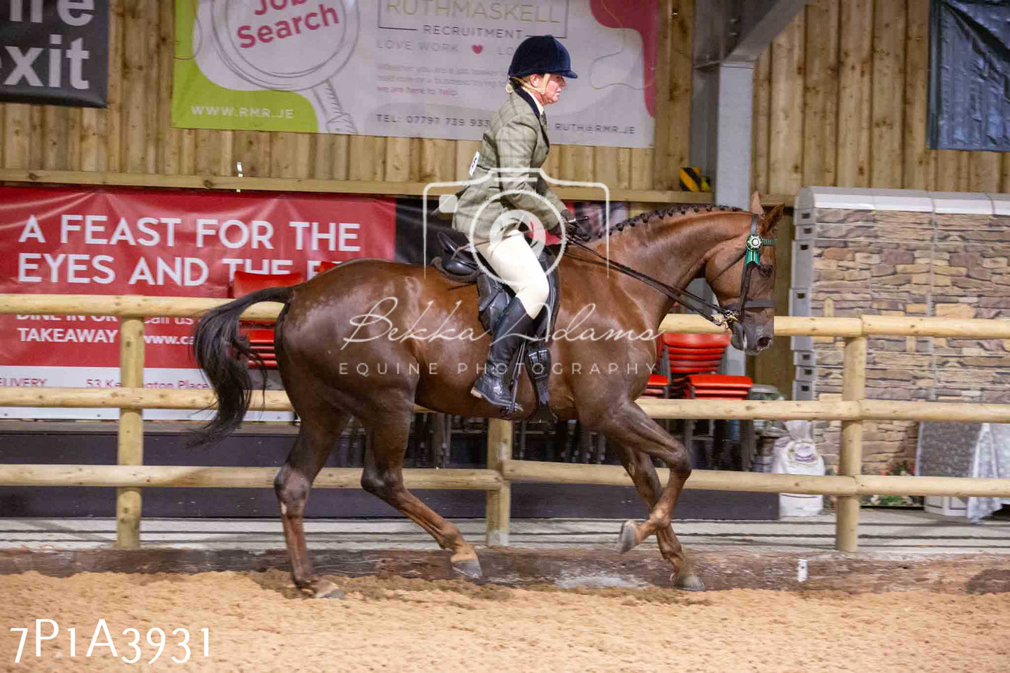 Home Farm Funshine Show 2024 - Ridden Showing 15th September pt2