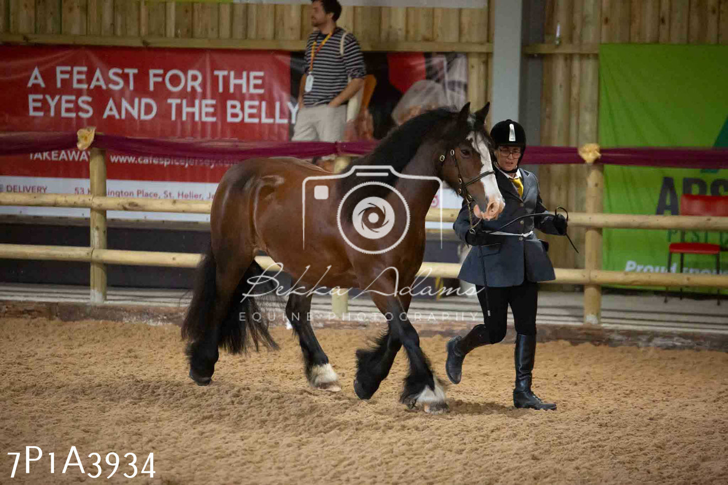 JHOYS 2023 - 9th September - Inhand Showing Pt 1