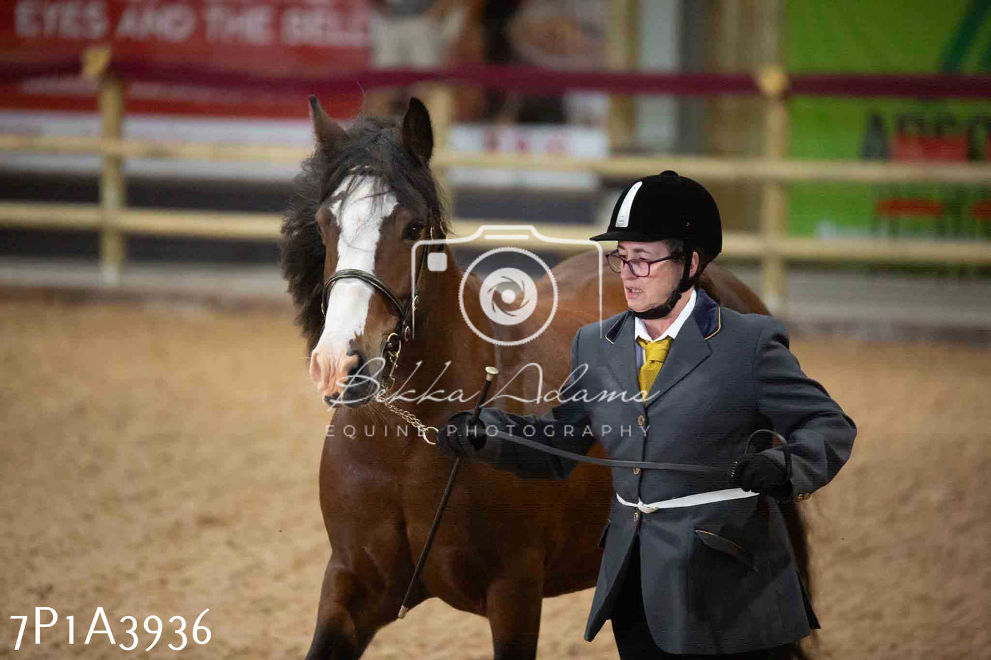 JHOYS 2023 - 9th September - Inhand Showing Pt 1