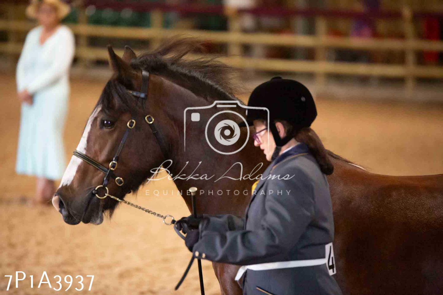 JHOYS 2023 - 9th September - Inhand Showing Pt 1