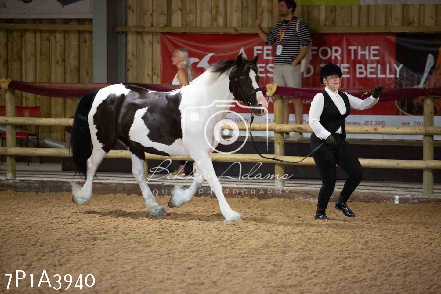 JHOYS 2023 - 9th September - Inhand Showing Pt 1