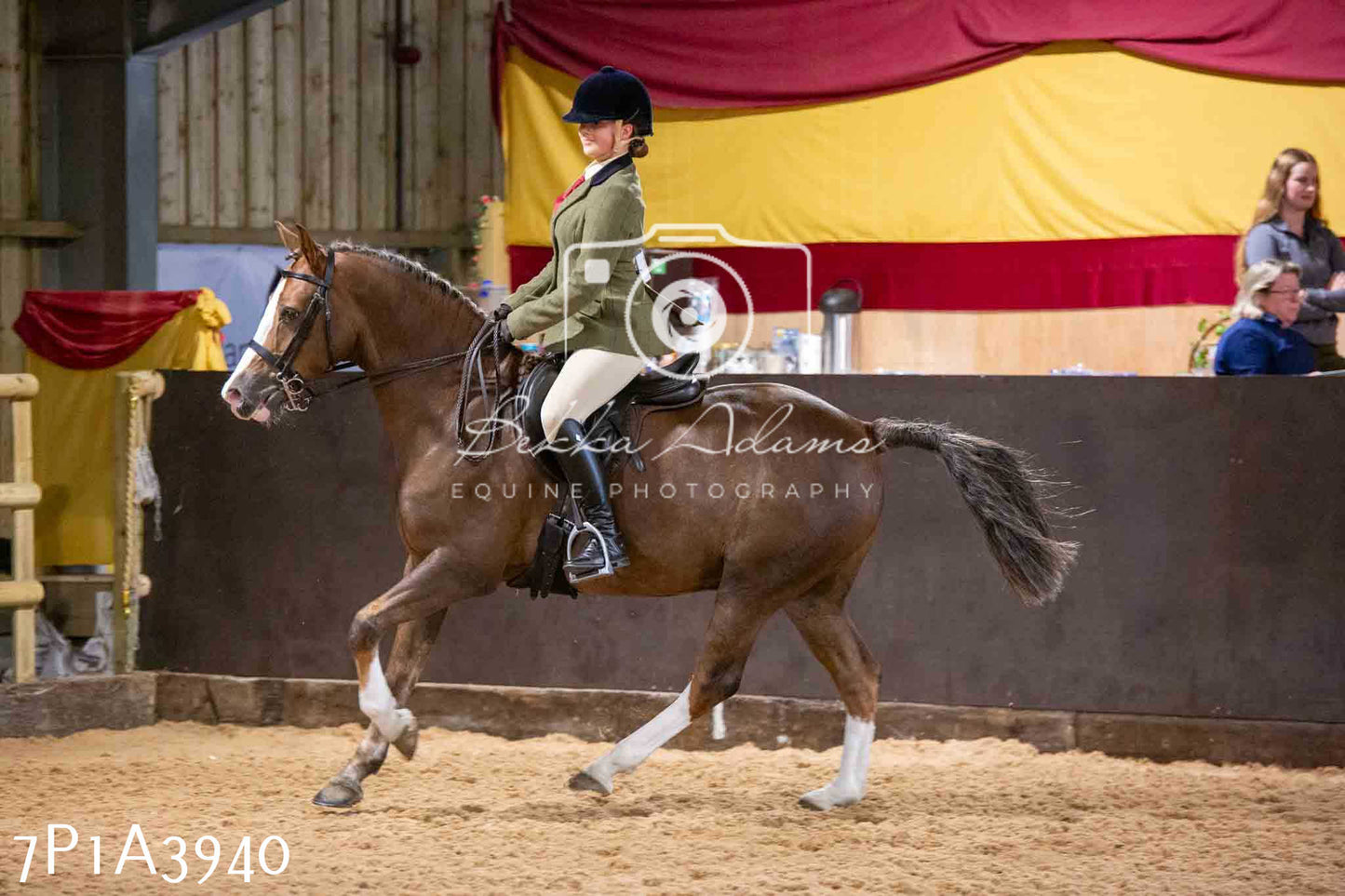 Home Farm Funshine Show 2024 - Ridden Showing 15th September pt2