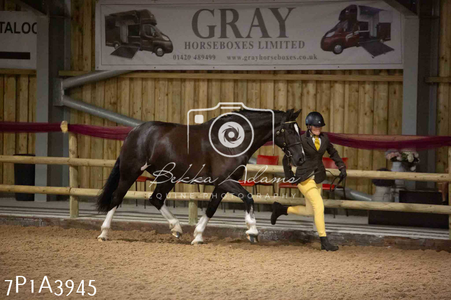 JHOYS 2023 - 9th September - Inhand Showing Pt 1