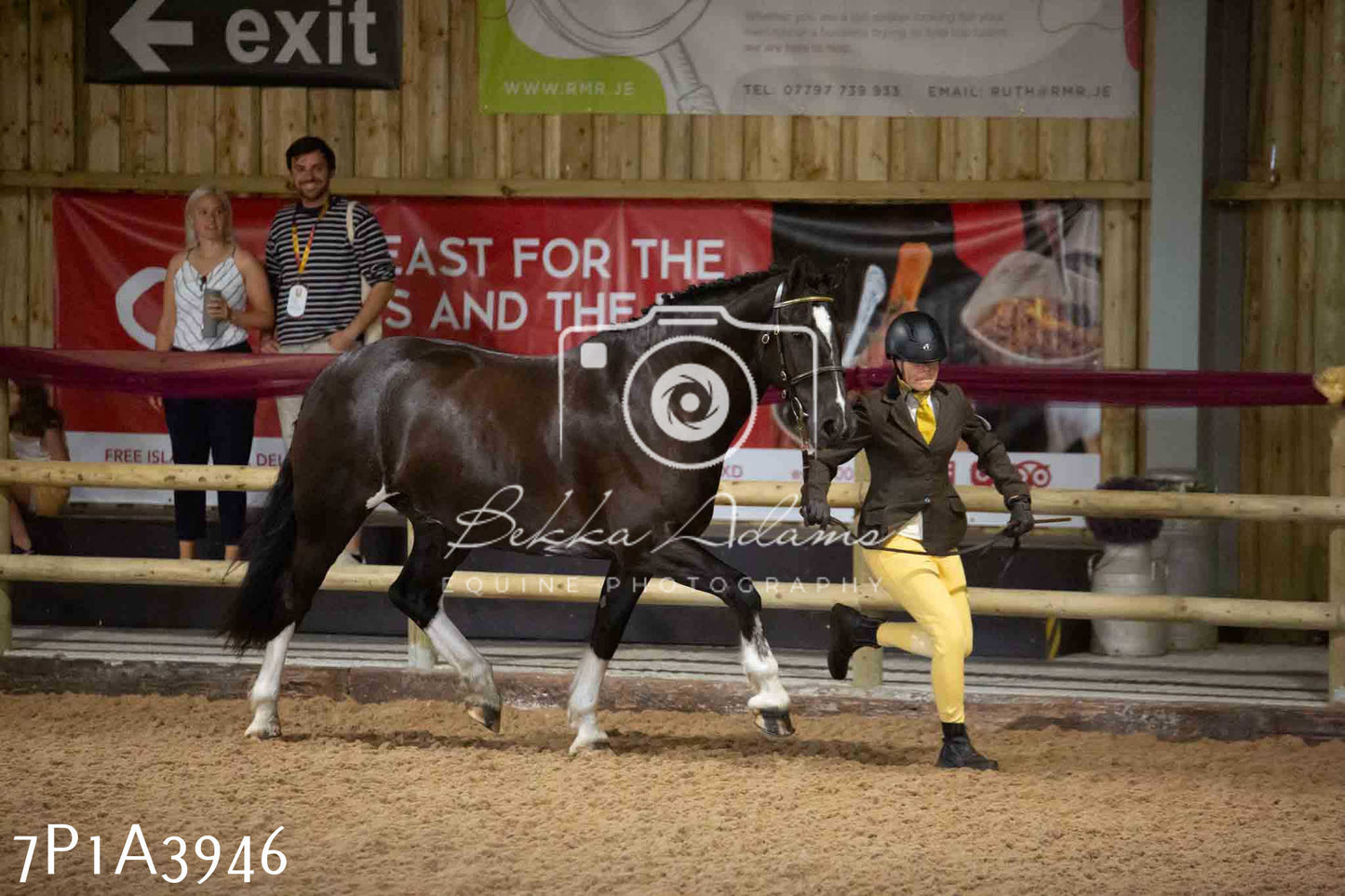 JHOYS 2023 - 9th September - Inhand Showing Pt 1