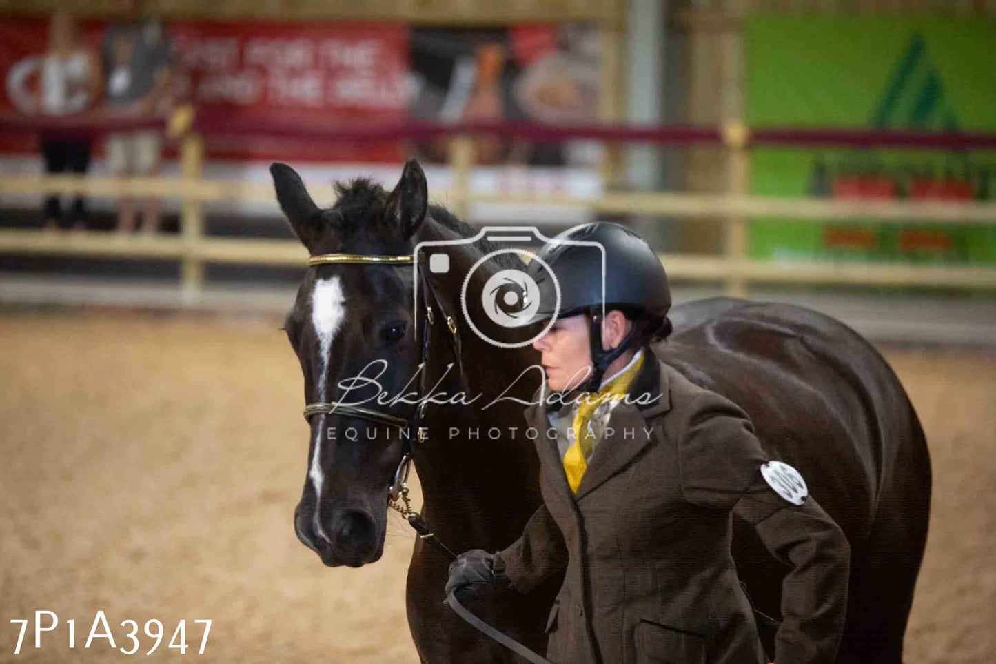 JHOYS 2023 - 9th September - Inhand Showing Pt 1