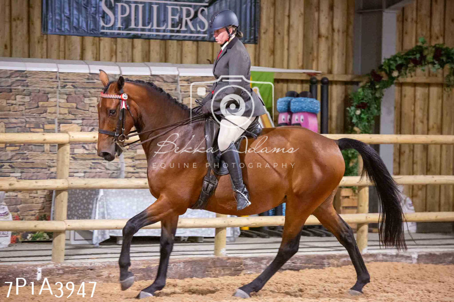 Home Farm Funshine Show 2024 - Ridden Showing 15th September pt2