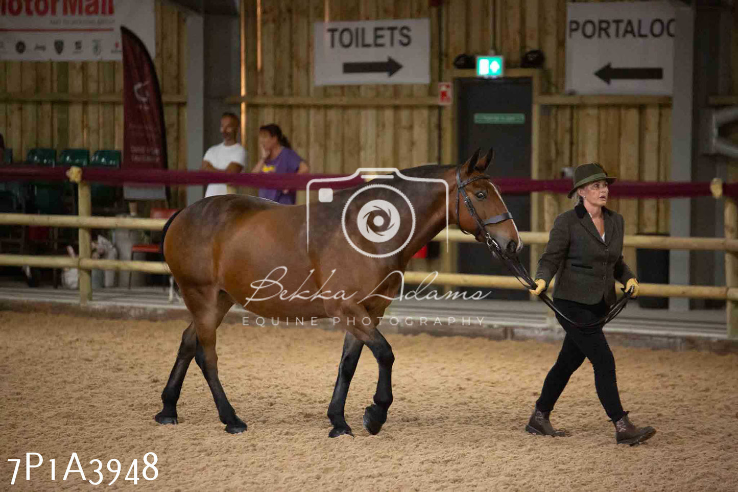 JHOYS 2023 - 9th September - Inhand Showing Pt 1