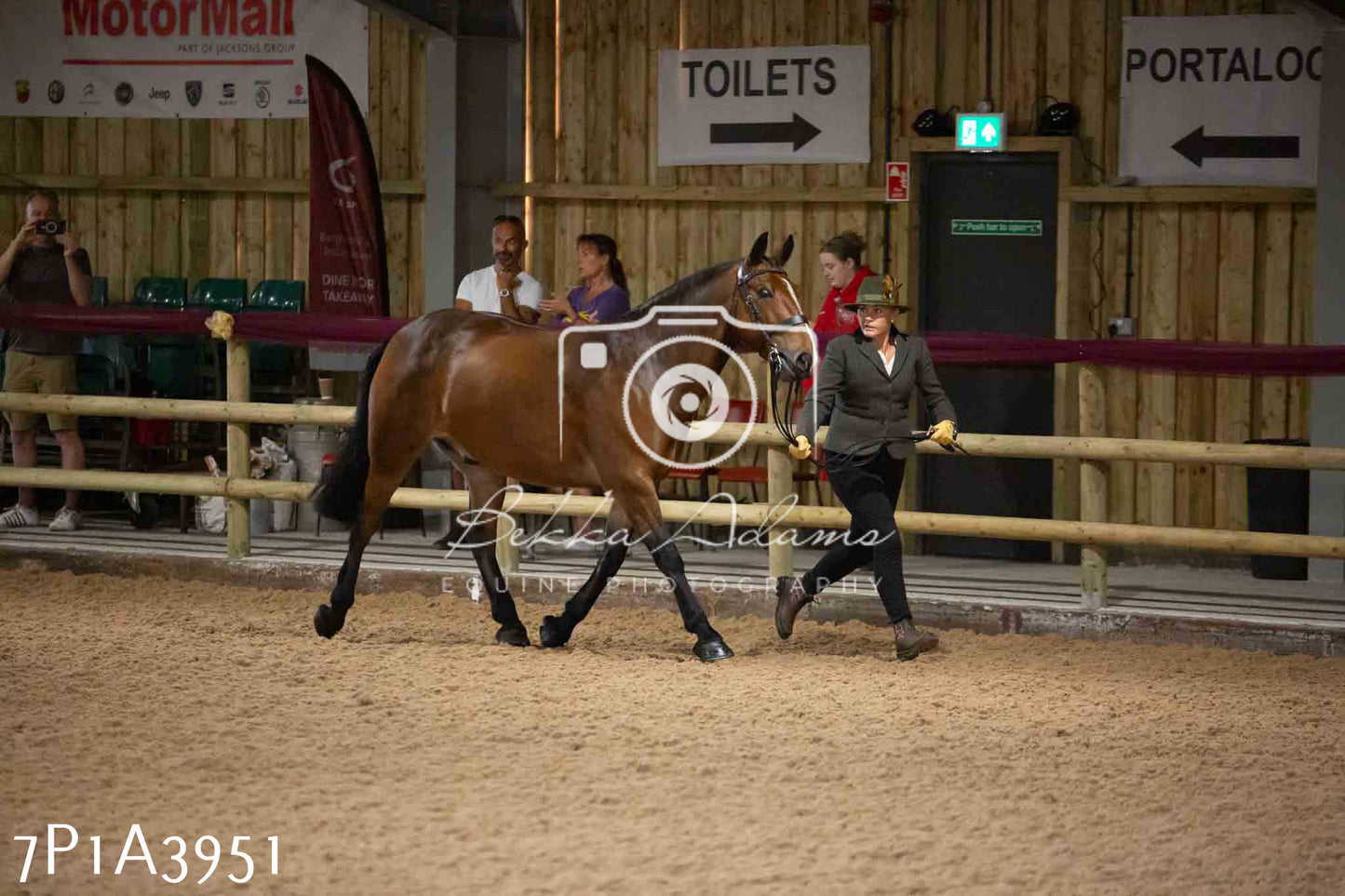 JHOYS 2023 - 9th September - Inhand Showing Pt 1