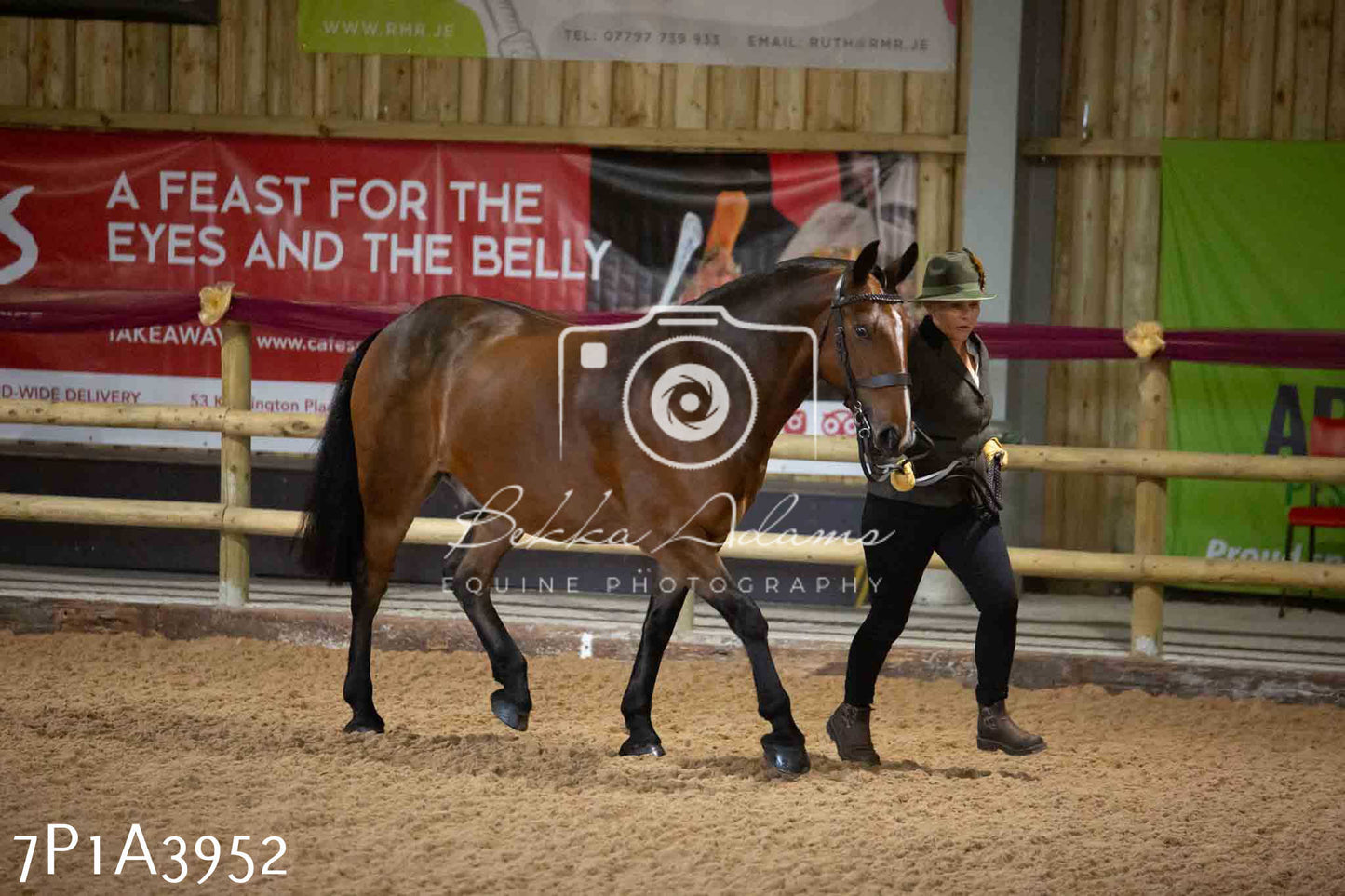 JHOYS 2023 - 9th September - Inhand Showing Pt 1