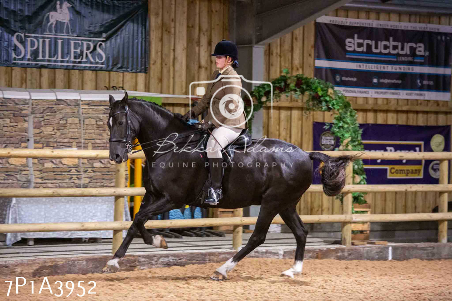 Home Farm Funshine Show 2024 - Ridden Showing 15th September pt2