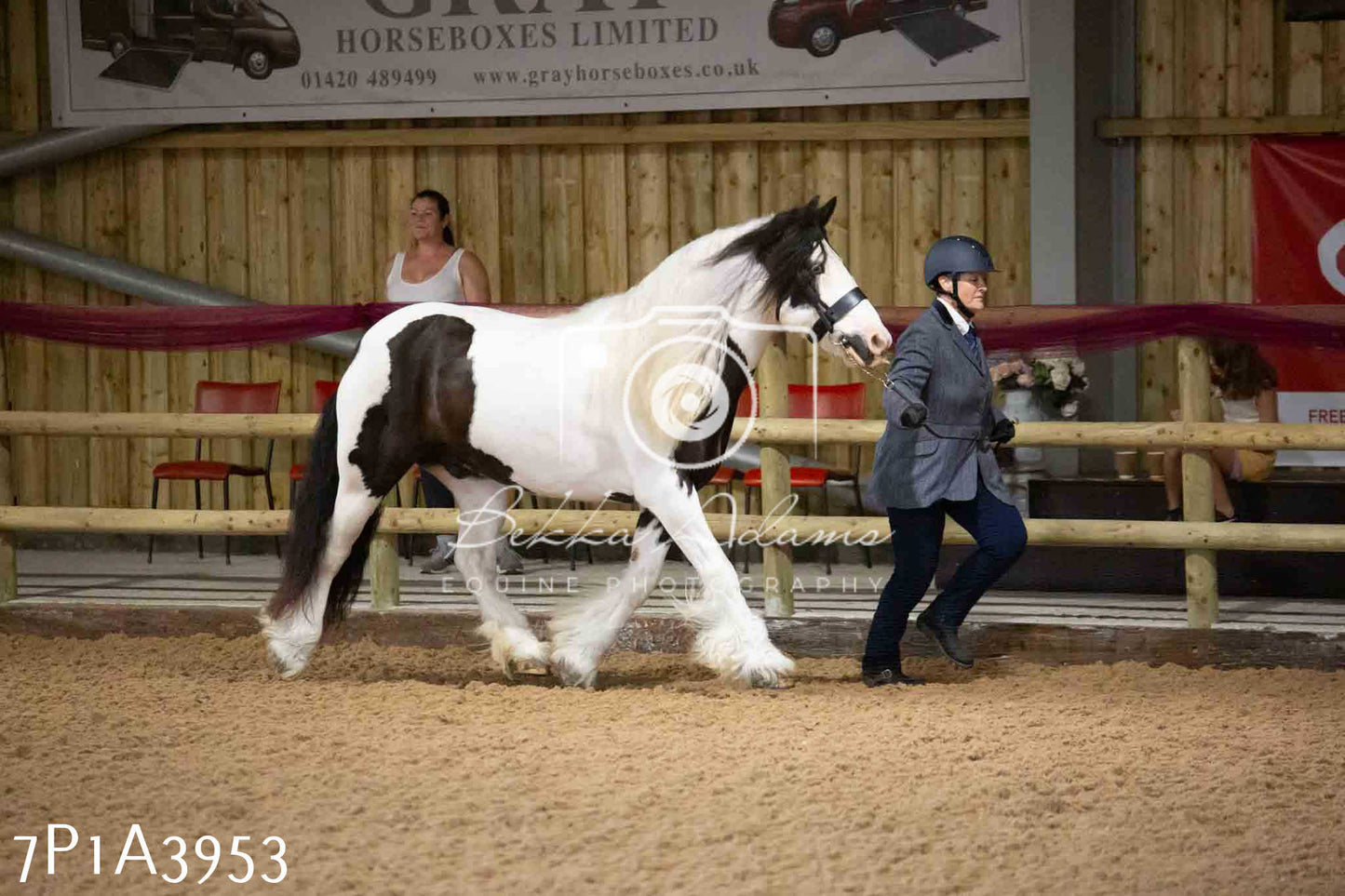 JHOYS 2023 - 9th September - Inhand Showing Pt 1