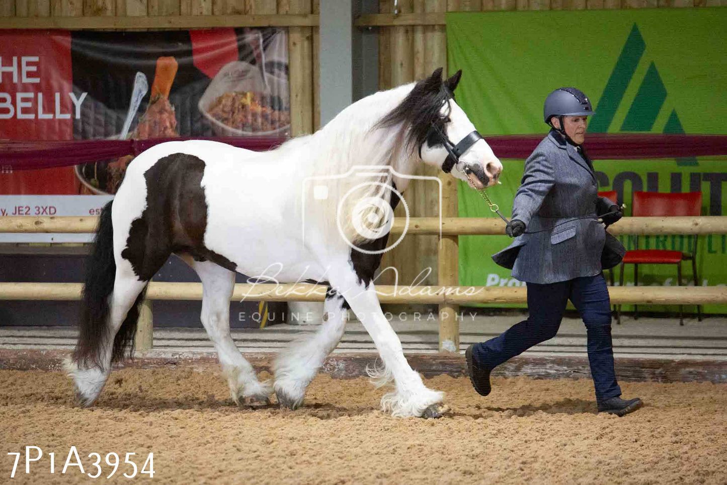 JHOYS 2023 - 9th September - Inhand Showing Pt 1