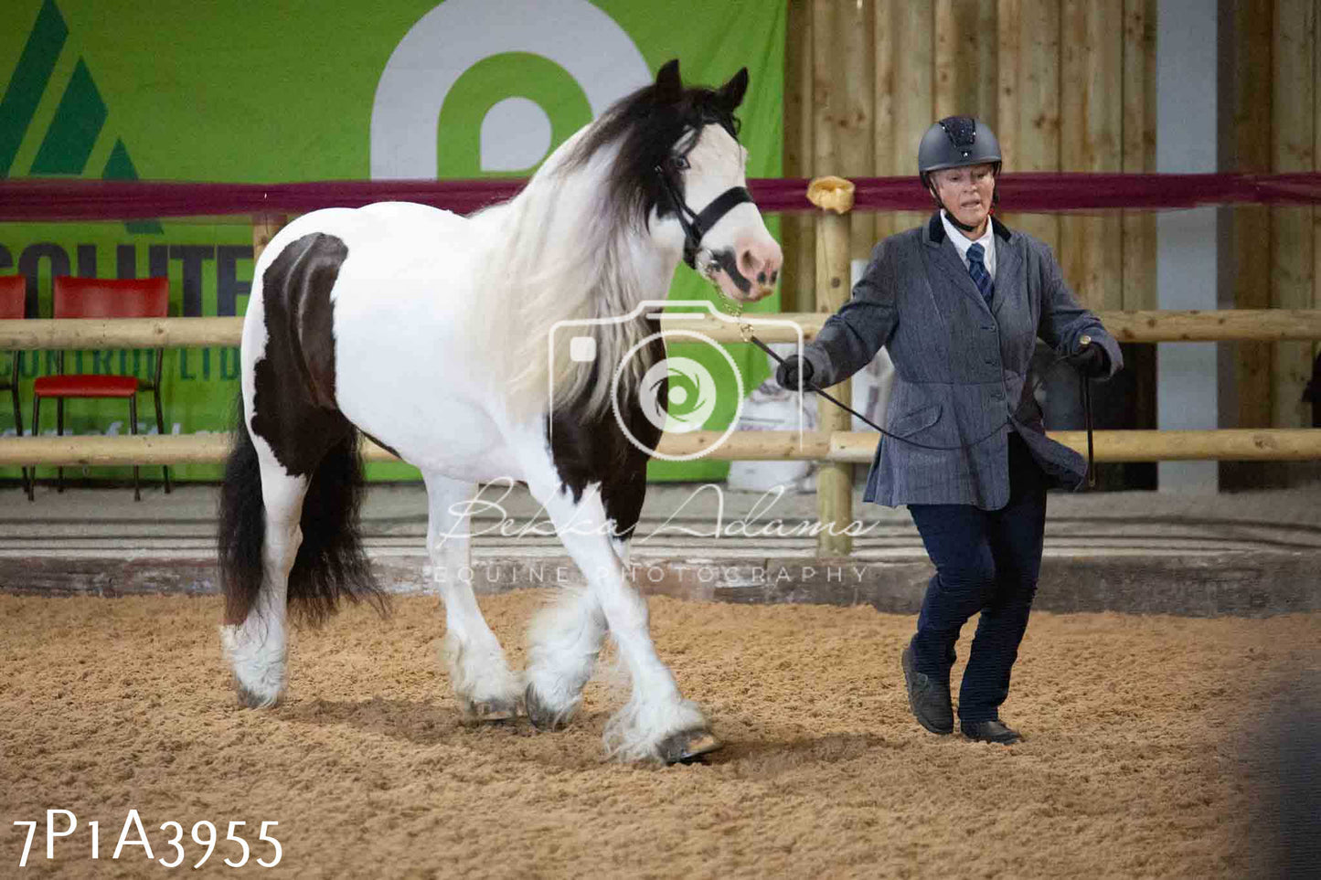 JHOYS 2023 - 9th September - Inhand Showing Pt 1