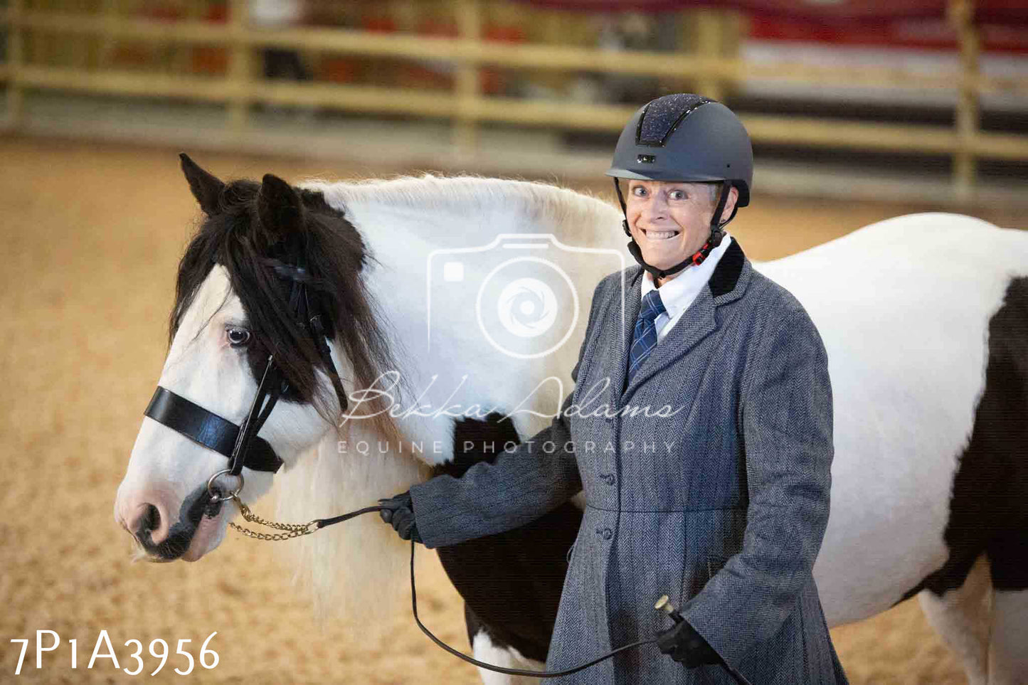 JHOYS 2023 - 9th September - Inhand Showing Pt 1