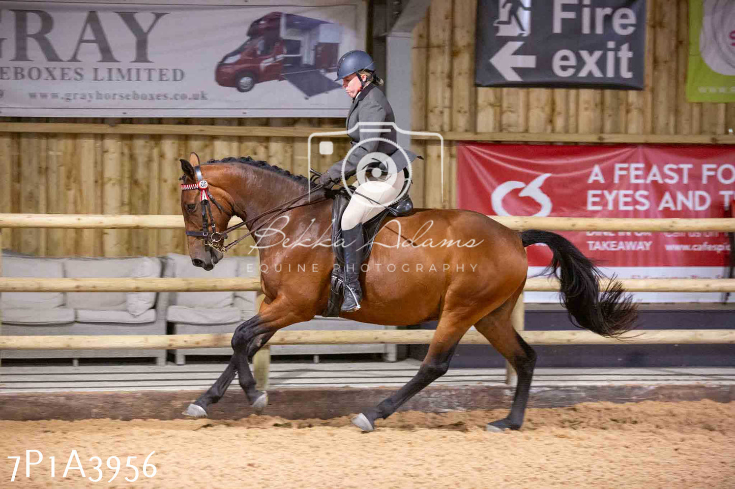 Home Farm Funshine Show 2024 - Ridden Showing 15th September pt2