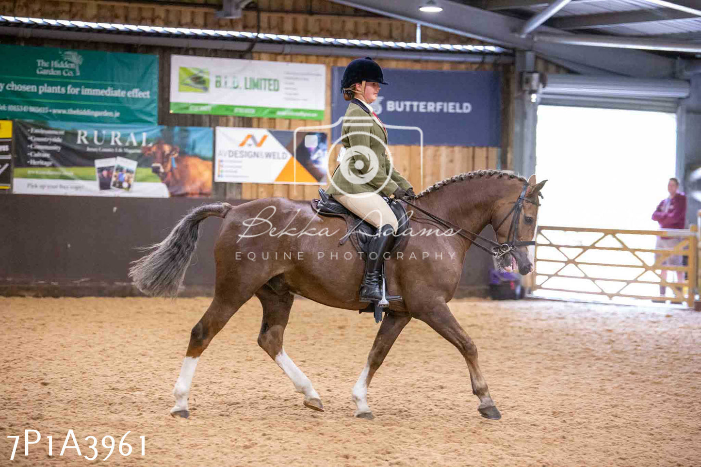 Home Farm Funshine Show 2024 - Ridden Showing 15th September pt2