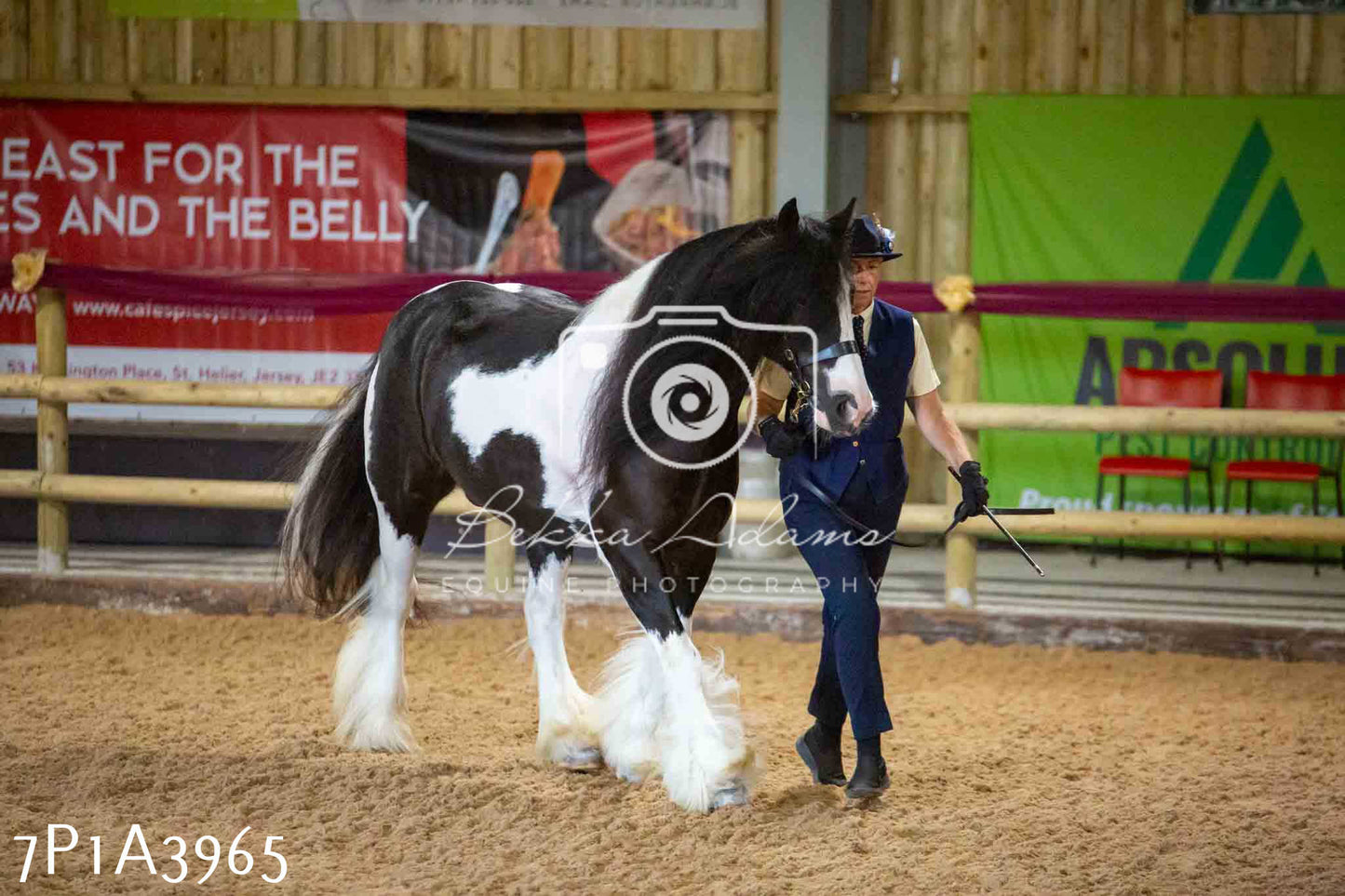 JHOYS 2023 - 9th September - Inhand Showing Pt 1