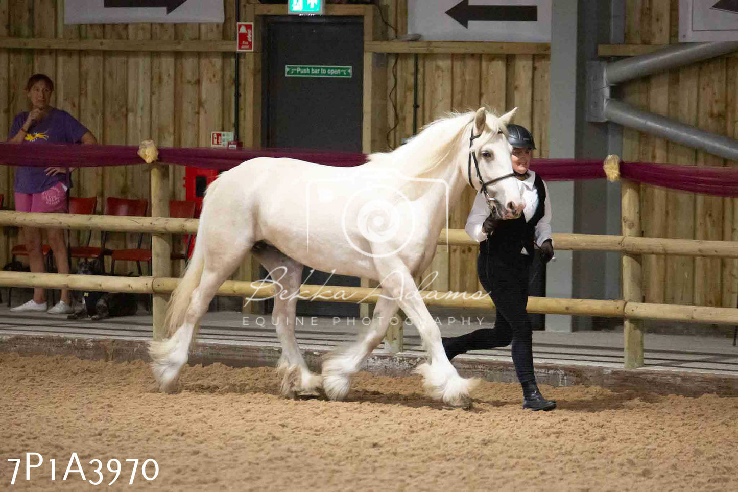 JHOYS 2023 - 9th September - Inhand Showing Pt 1