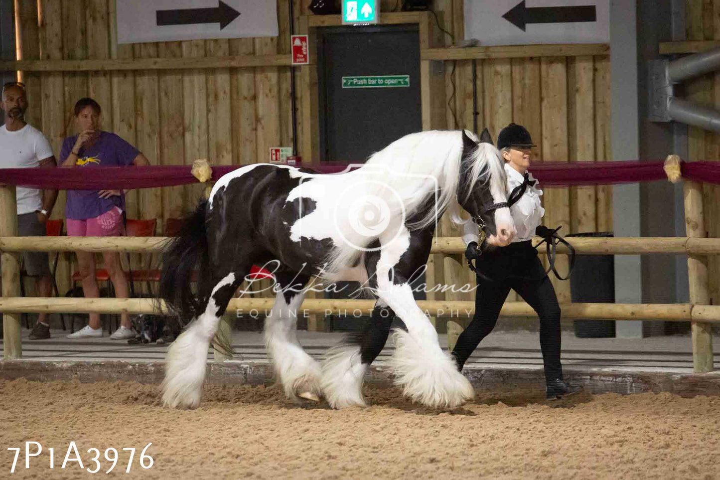 JHOYS 2023 - 9th September - Inhand Showing Pt 1