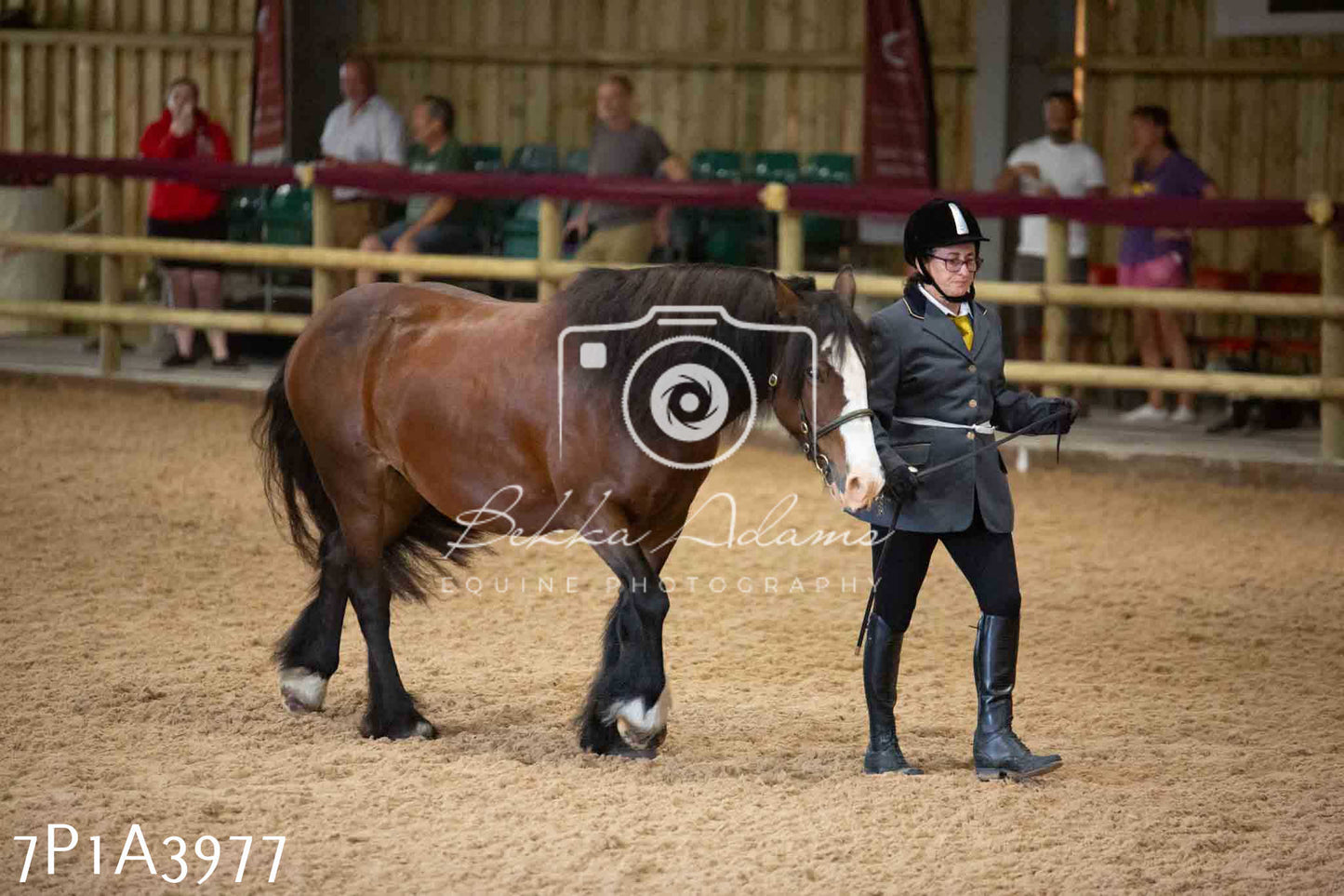 JHOYS 2023 - 9th September - Inhand Showing Pt 1