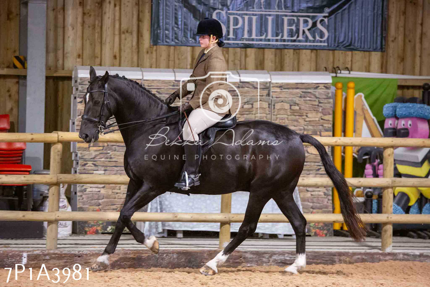 Home Farm Funshine Show 2024 - Ridden Showing 15th September pt2