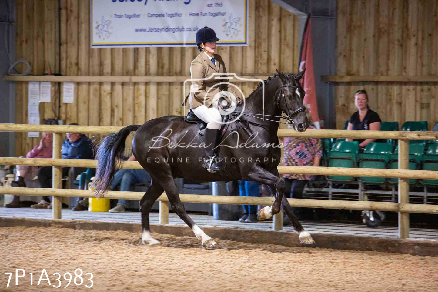 Home Farm Funshine Show 2024 - Ridden Showing 15th September pt2