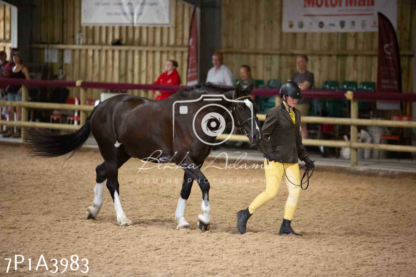 JHOYS 2023 - 9th September - Inhand Showing Pt 1