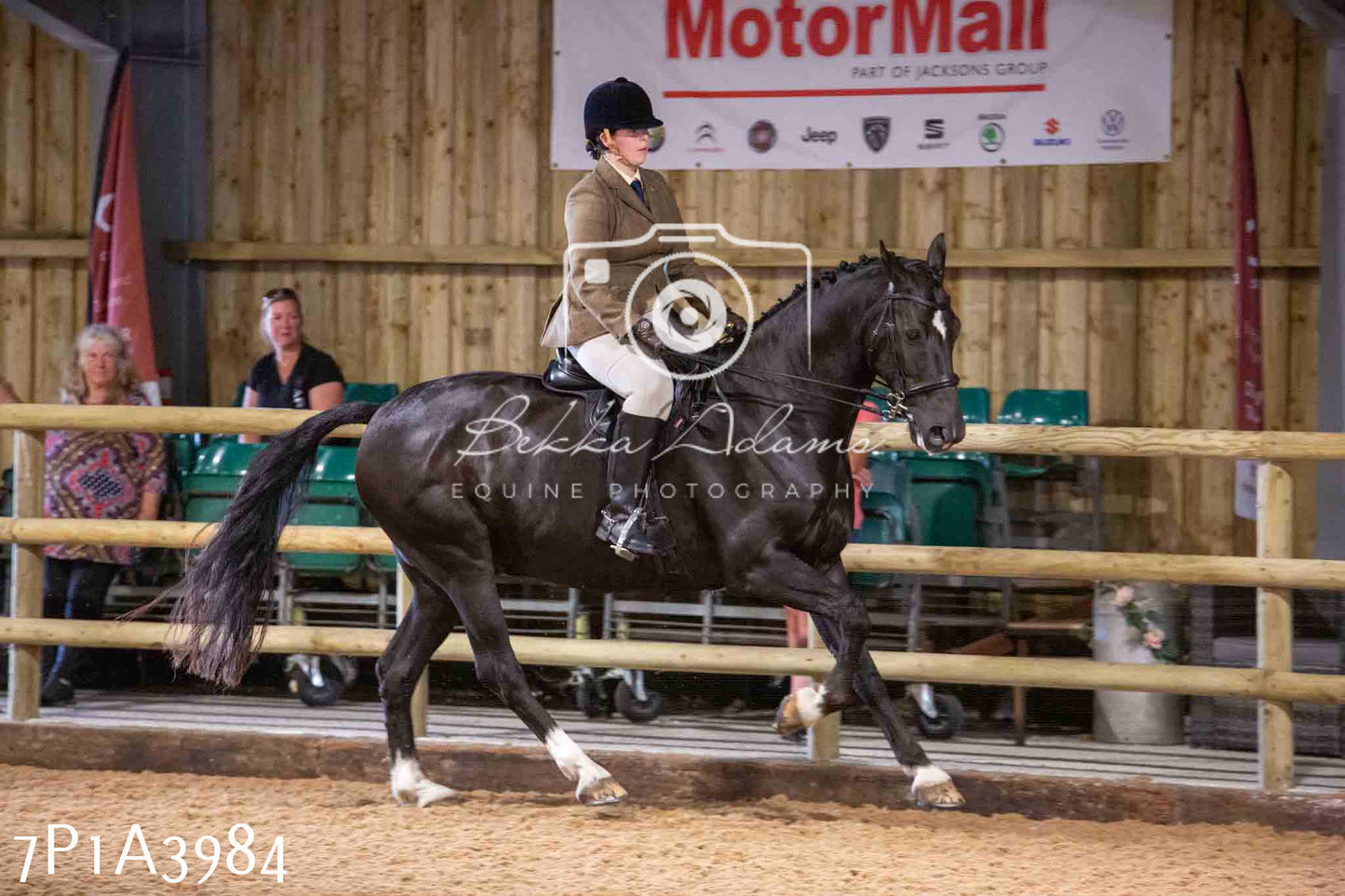 Home Farm Funshine Show 2024 - Ridden Showing 15th September pt2