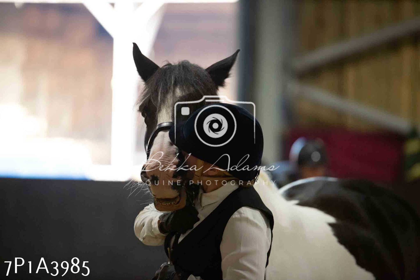 JHOYS 2023 - 9th September - Inhand Showing Pt 1