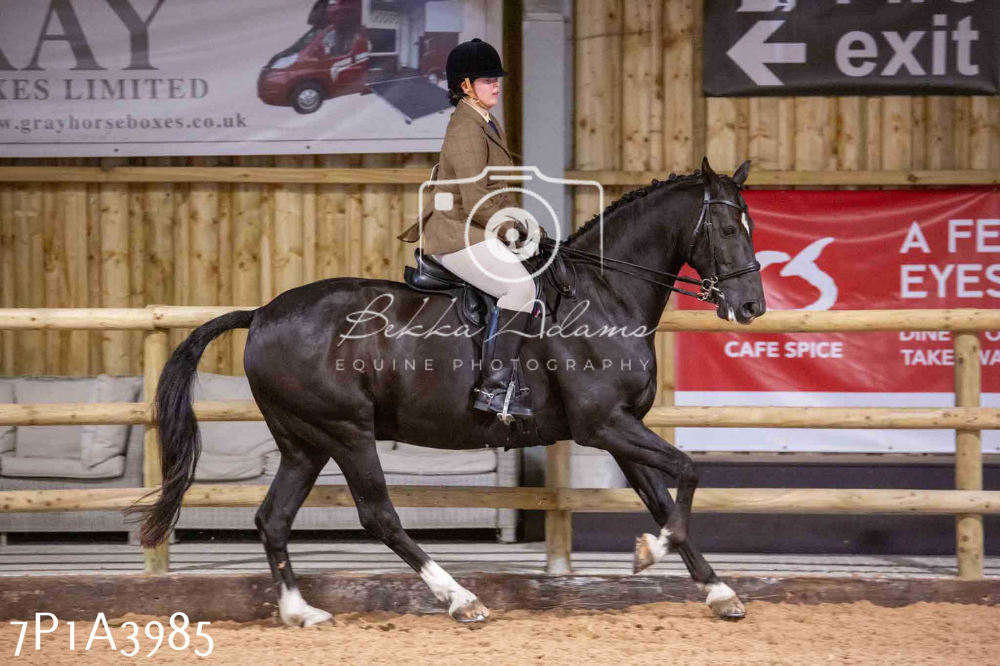 Home Farm Funshine Show 2024 - Ridden Showing 15th September pt2