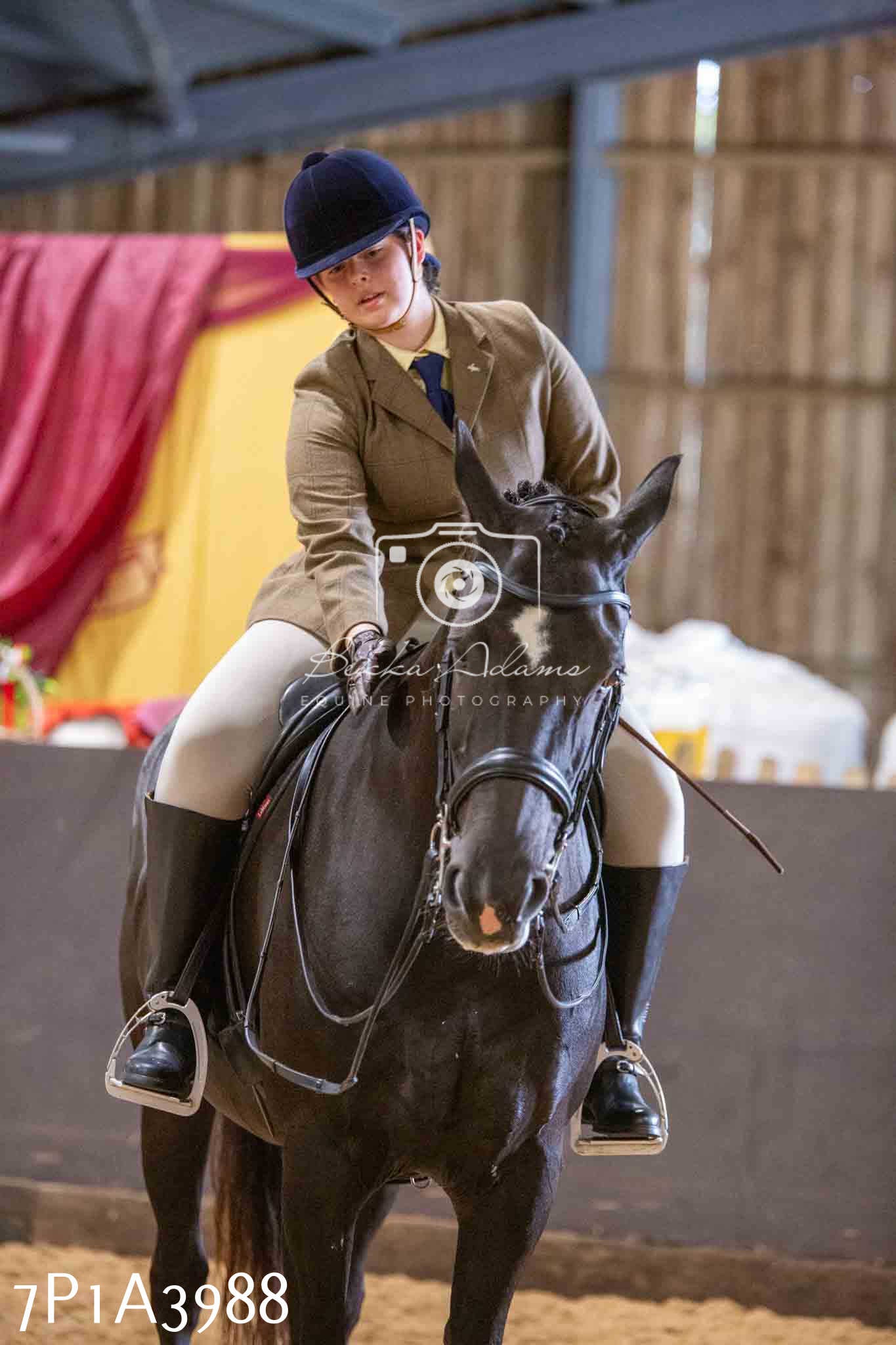 Home Farm Funshine Show 2024 - Ridden Showing 15th September pt2