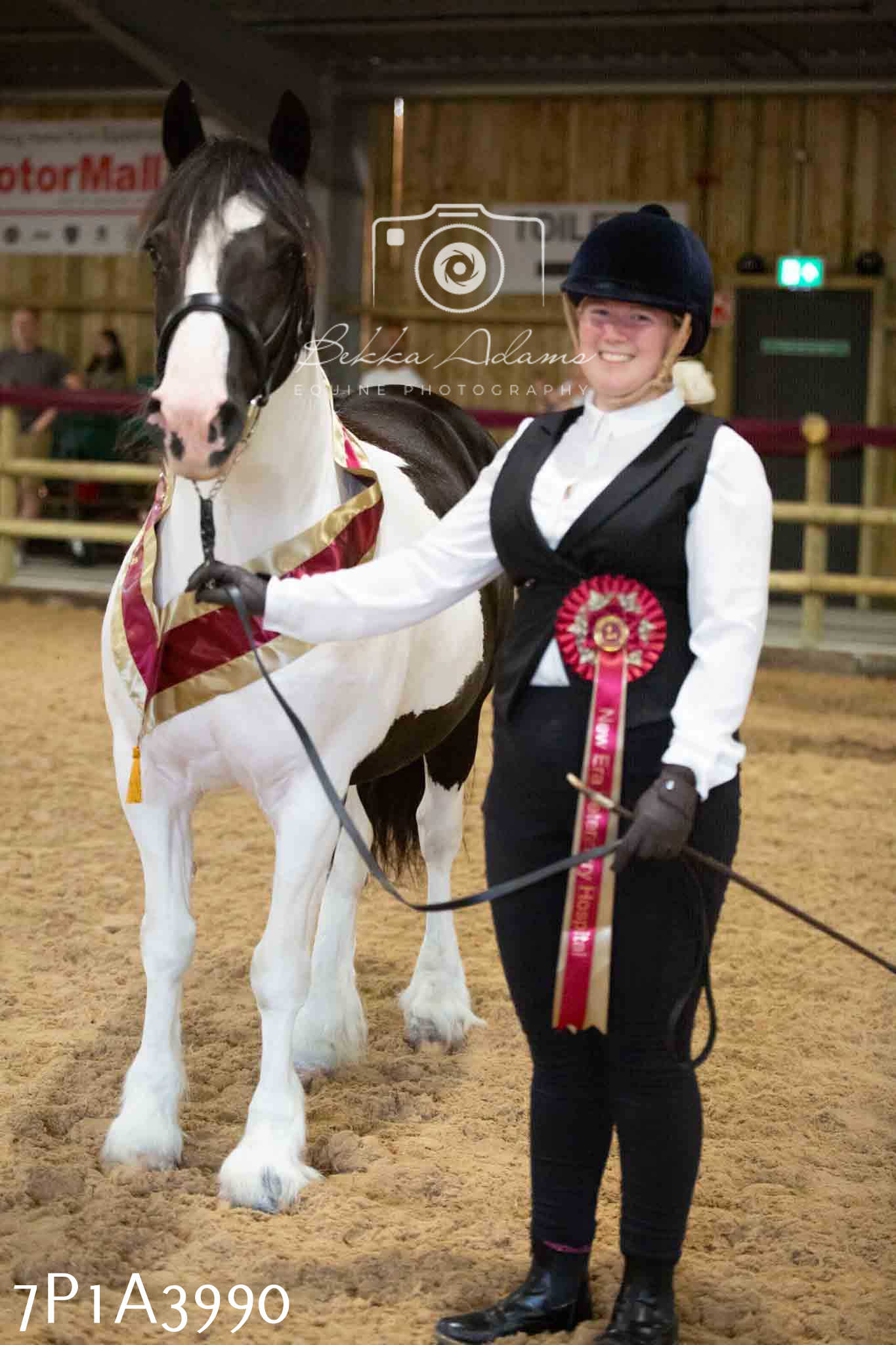 JHOYS 2023 - 9th September - Inhand Showing Pt 1