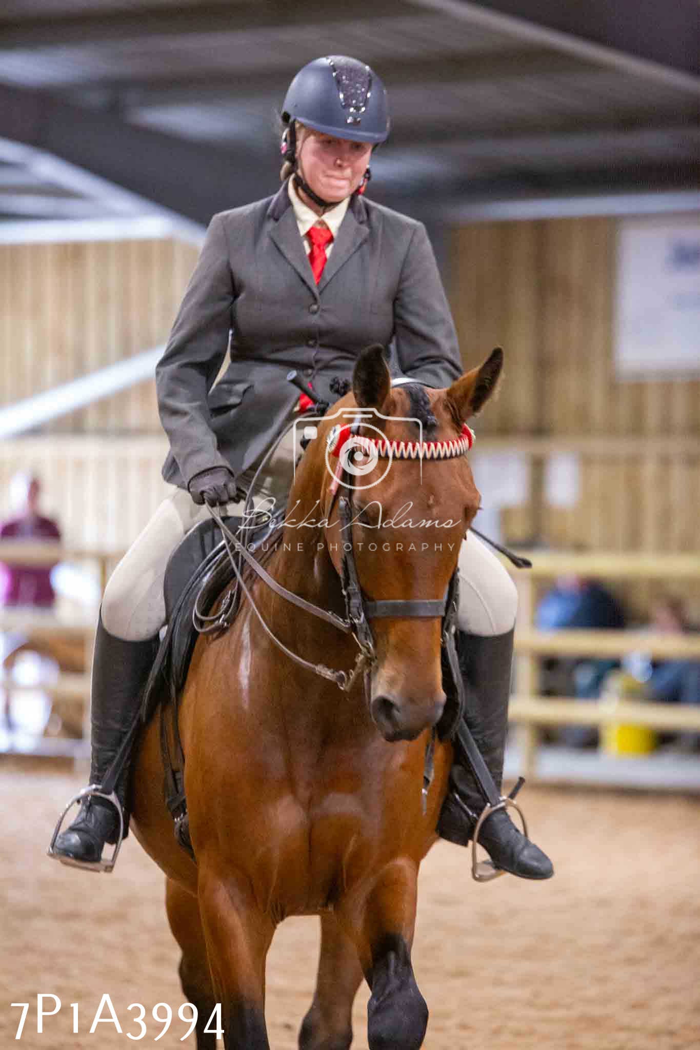 Home Farm Funshine Show 2024 - Ridden Showing 15th September pt2