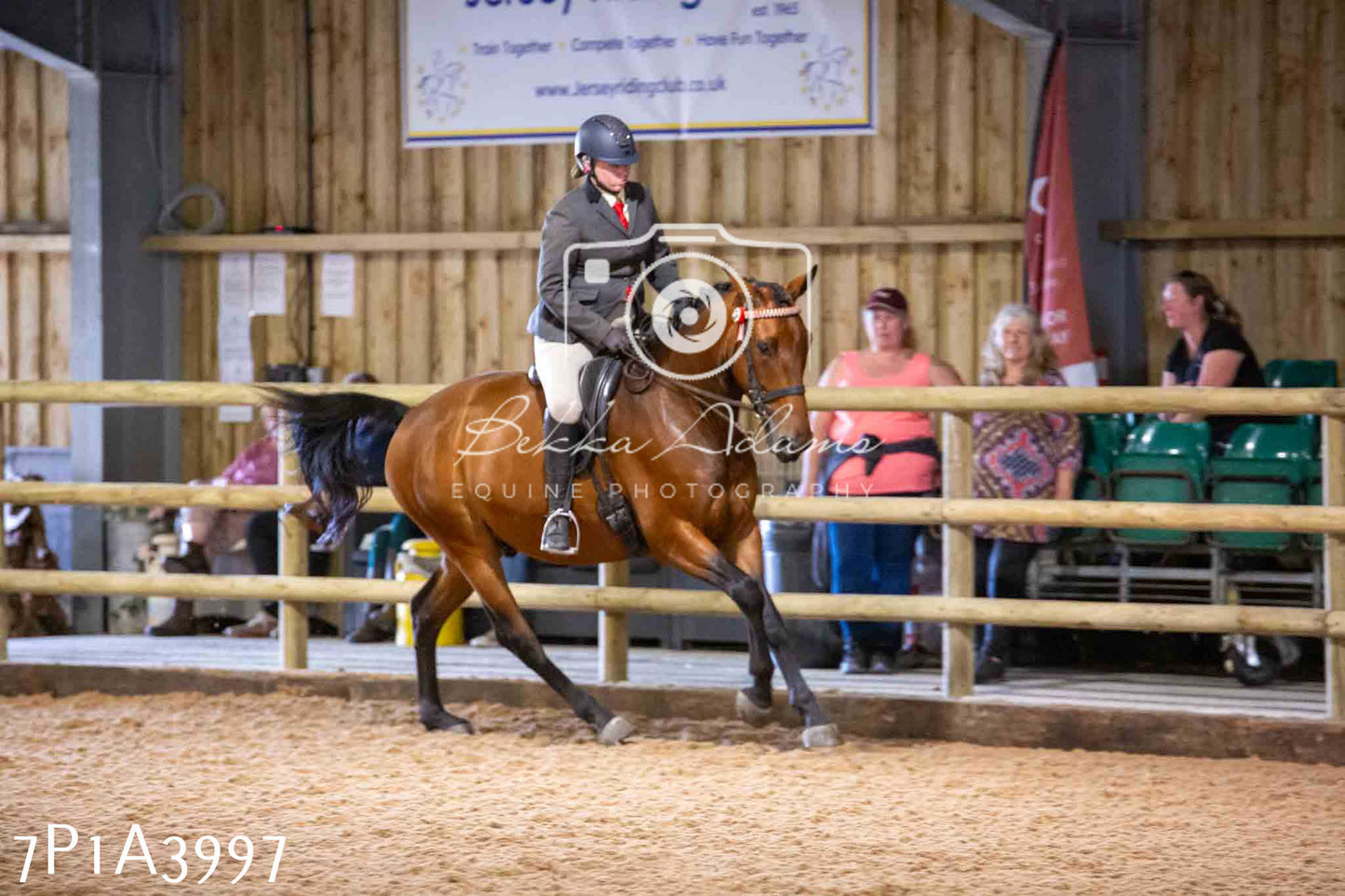 Home Farm Funshine Show 2024 - Ridden Showing 15th September pt2