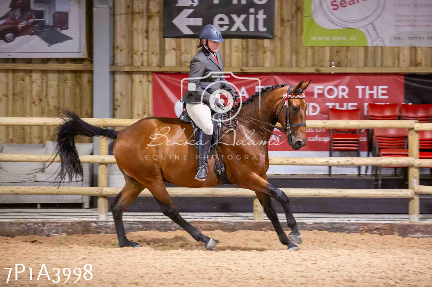 Home Farm Funshine Show 2024 - Ridden Showing 15th September pt2