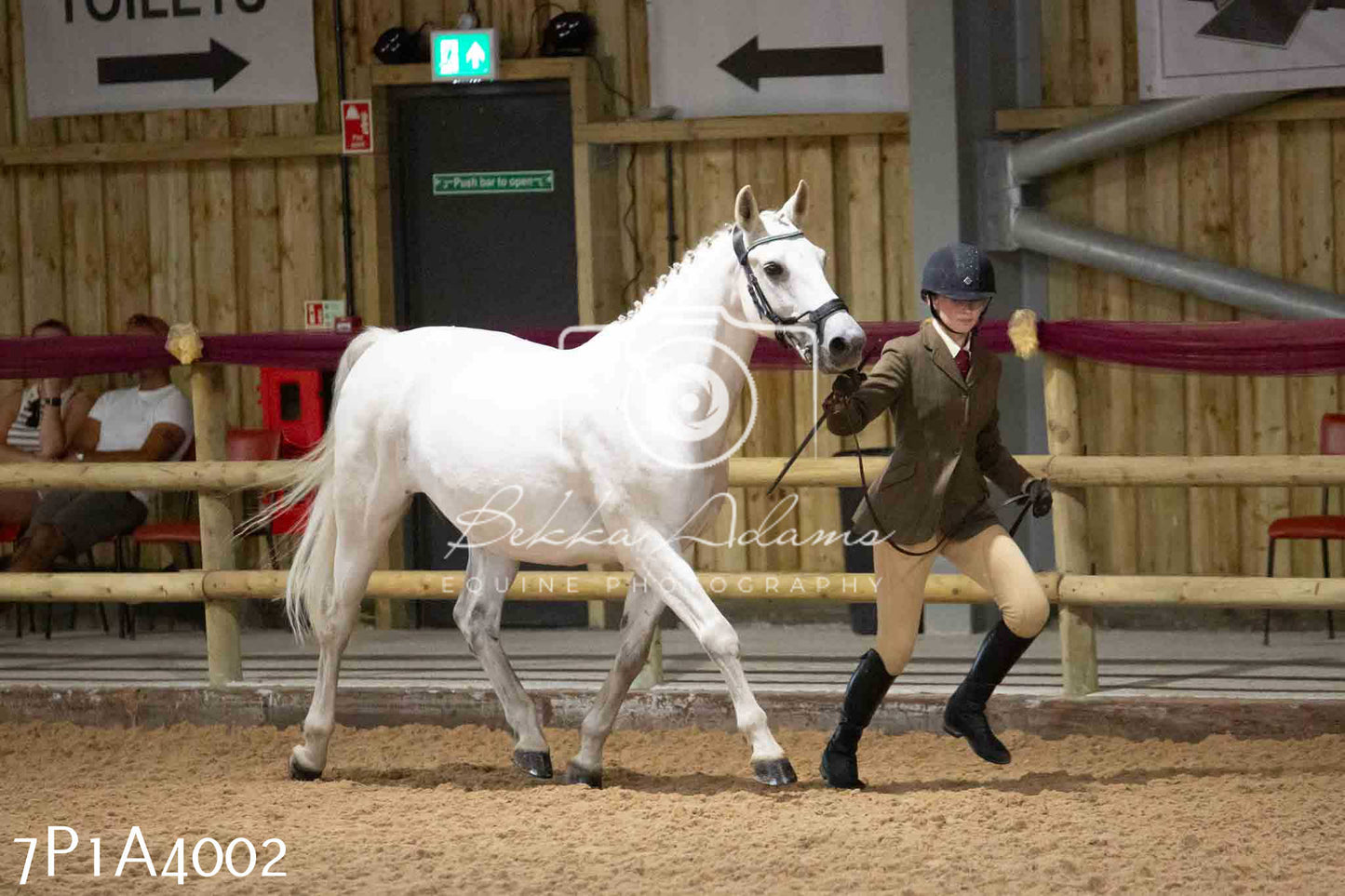 JHOYS 2023 - 9th September - Inhand Showing Pt 1