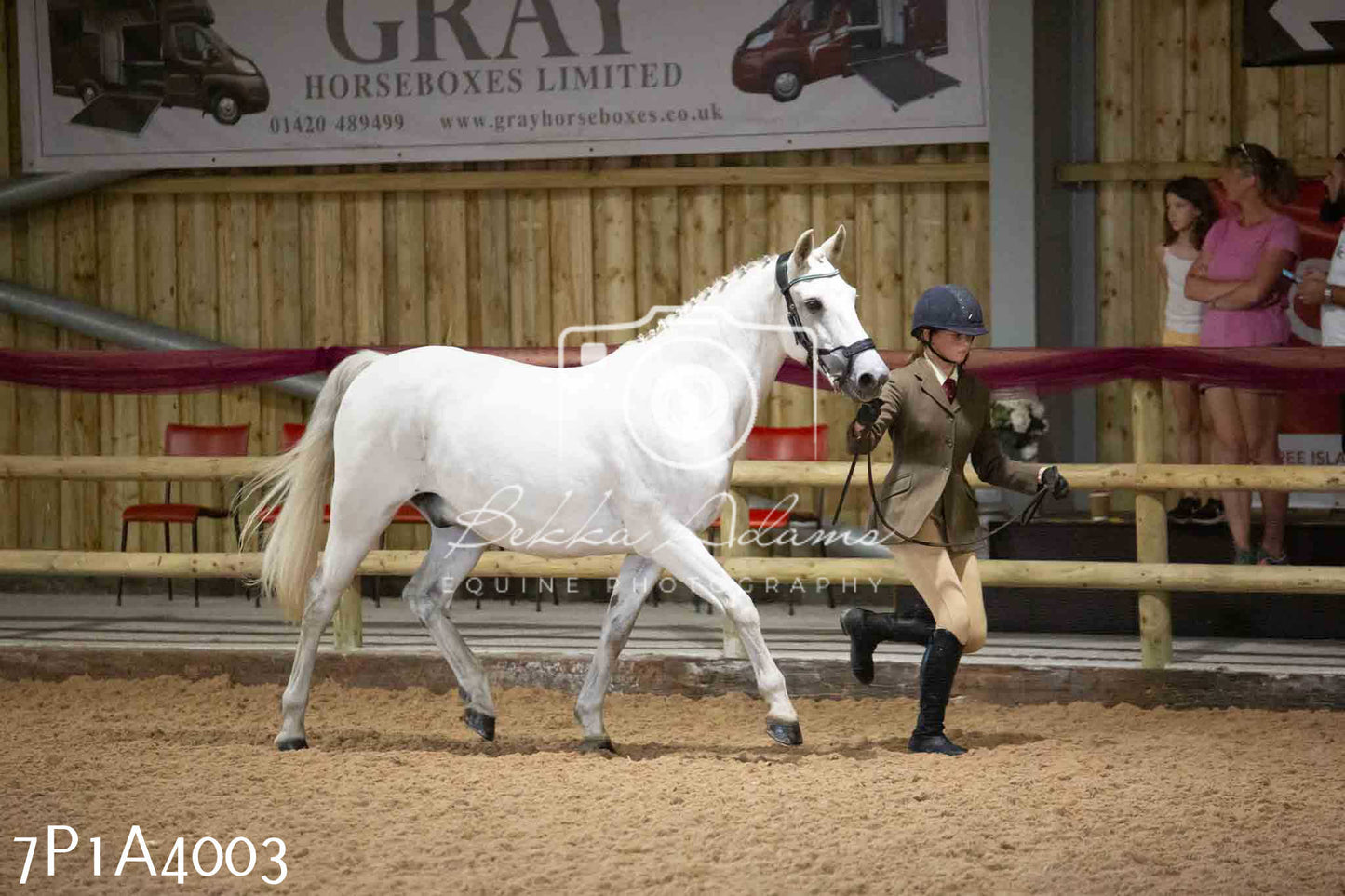 JHOYS 2023 - 9th September - Inhand Showing Pt 1