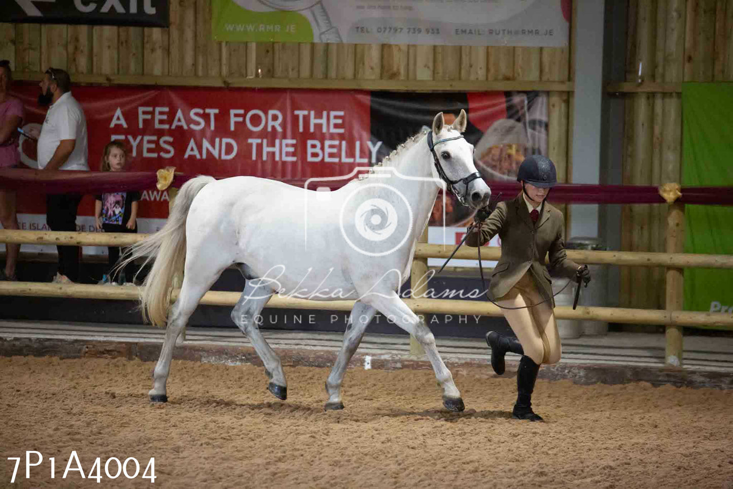 JHOYS 2023 - 9th September - Inhand Showing Pt 1