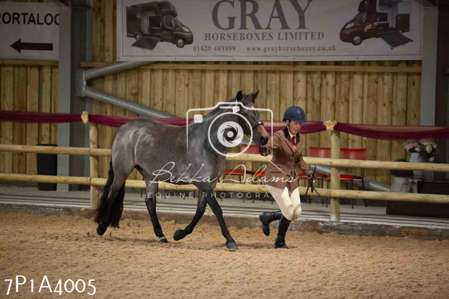 JHOYS 2023 - 9th September - Inhand Showing Pt 1